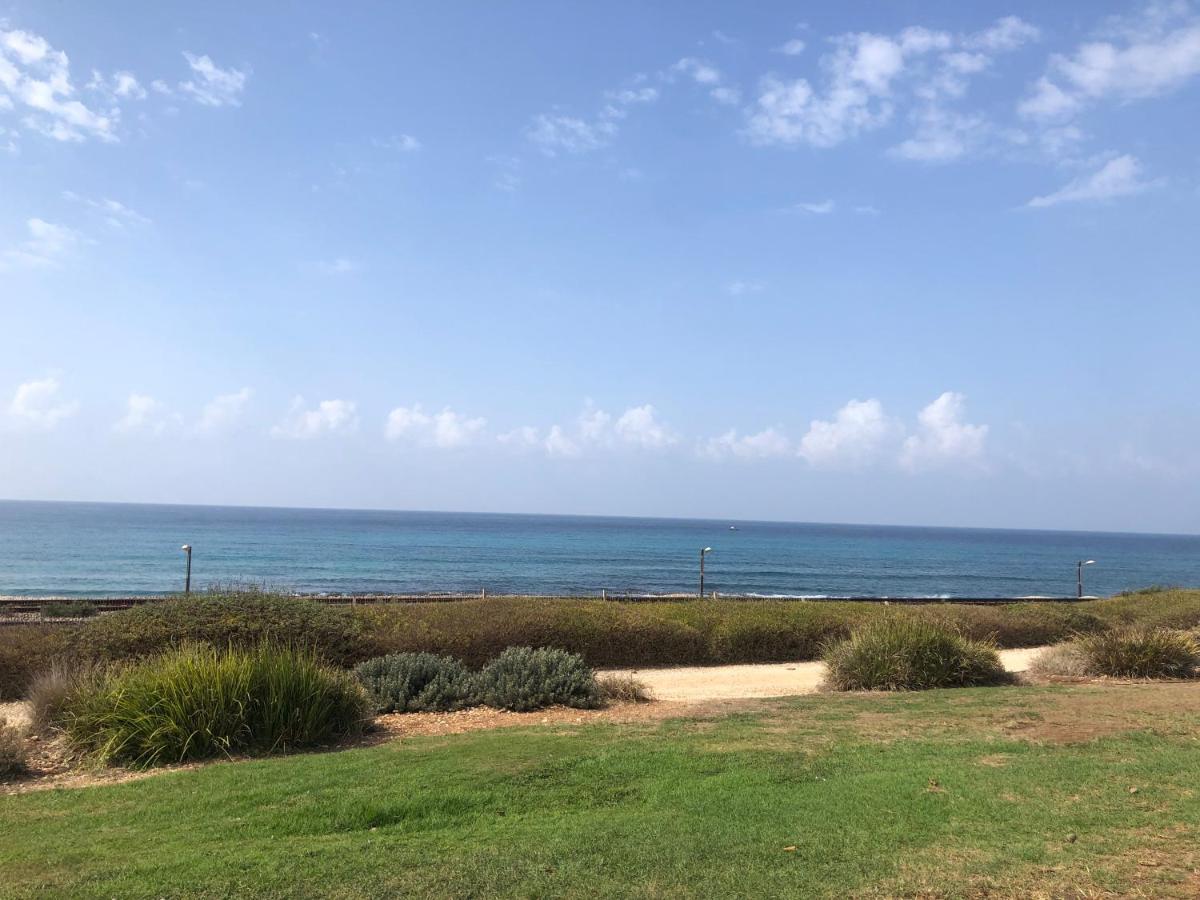 Carmel Luxury דירה